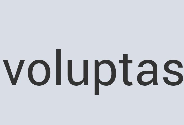 Small Bronze Spam Sushi