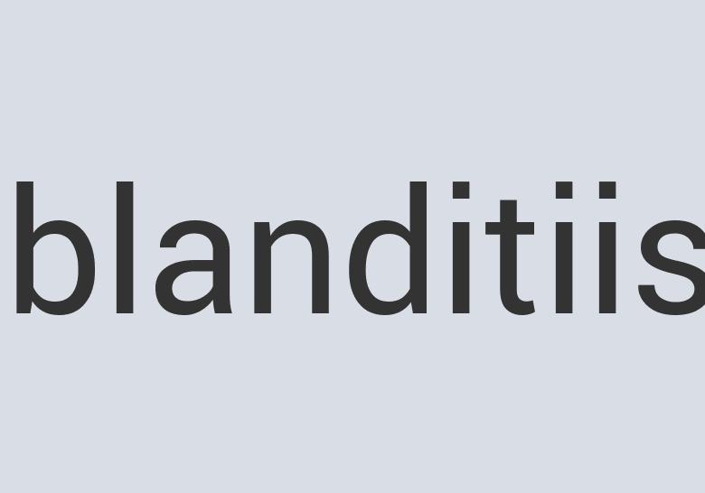 Aerodynamic Leather Freudian Slipper