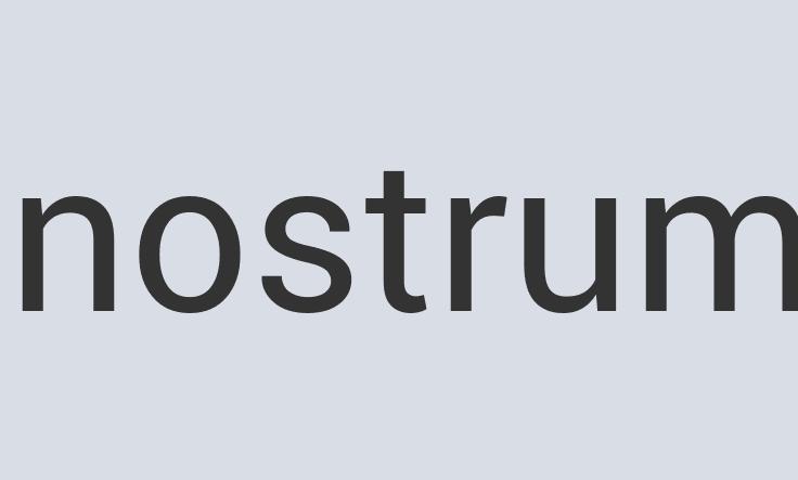 Ergonomic Bronze SonicStreet